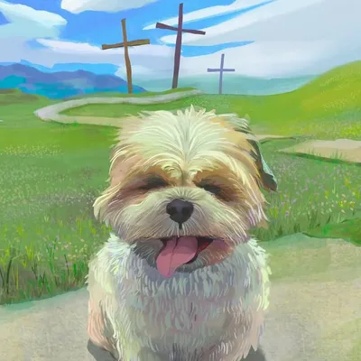 Travis the Shih-Poo ๐พ profile