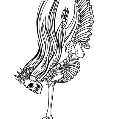 profile