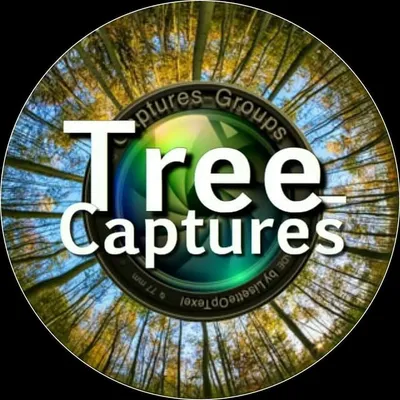 Part of the @Captures_Groups ๐ profile