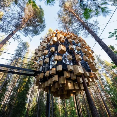 Treehotel profile