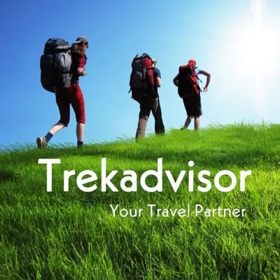 Your Travel Partner profile