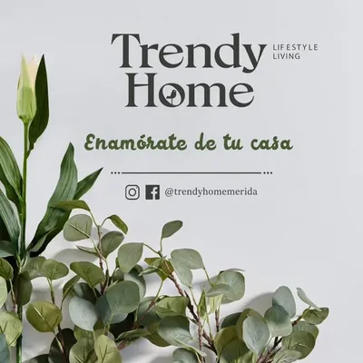 Trendy Home | Decoraciones en Mérida profile