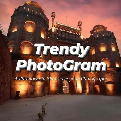 World Photography Page™ profile