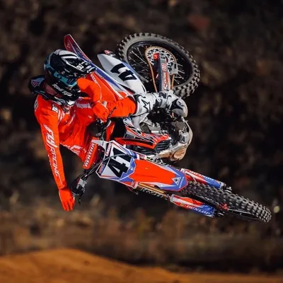 Trey Canard profile