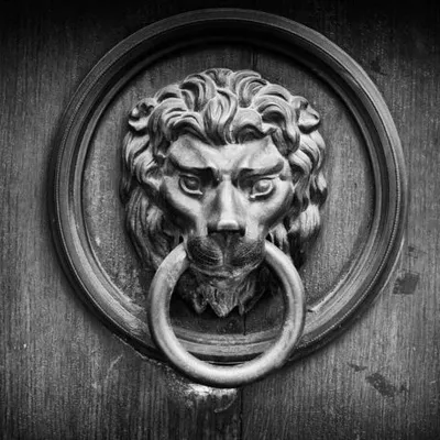 Tricklebank profile