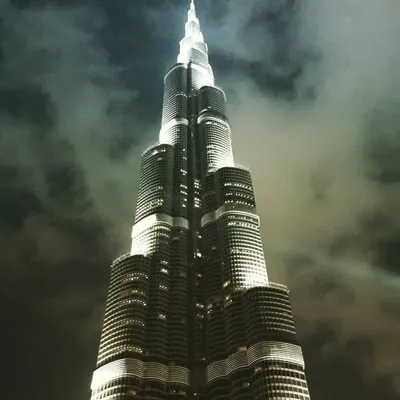 Tripglobally profile