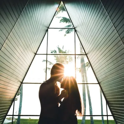 trip is life profile