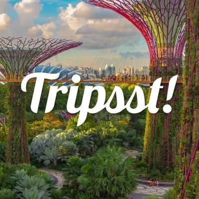 Tripsst! Singapore 🇸🇬 · Travel and Experiences profile