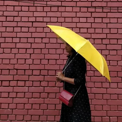 Tripti Shukla ๐ฎ๐ณ profile