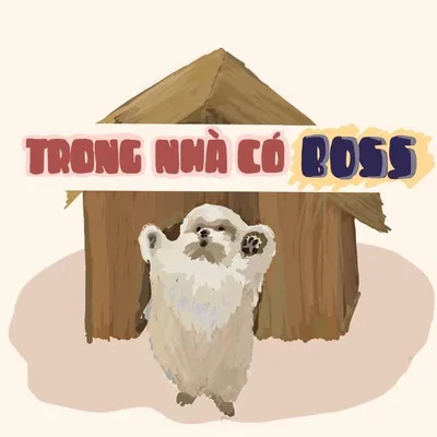Trong nhà có Boss profile