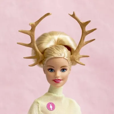Trophy Wife Barbie profile