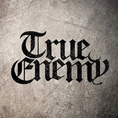 TRUE ENEMY profile