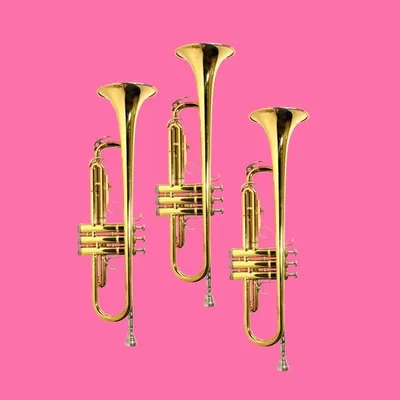 Trumpetatah profile