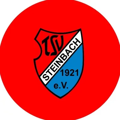 TSV Steinbach Haiger profile