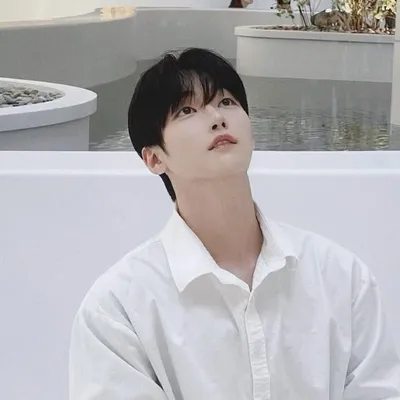 ᴛᴛᴏᴋᴋɪɪ | 최토끼 profile