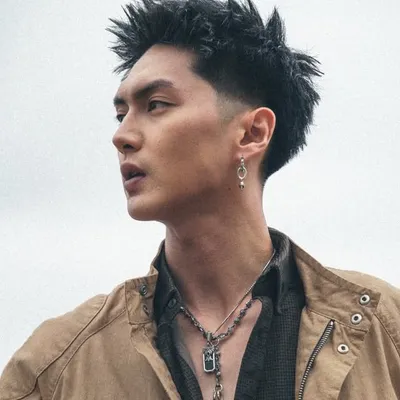 Trần Mạnh Tuấn profile