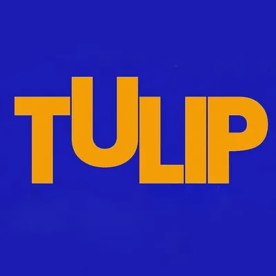Tulip Magazine Hyderabad profile