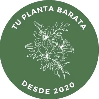 Tu Planta Barata profile