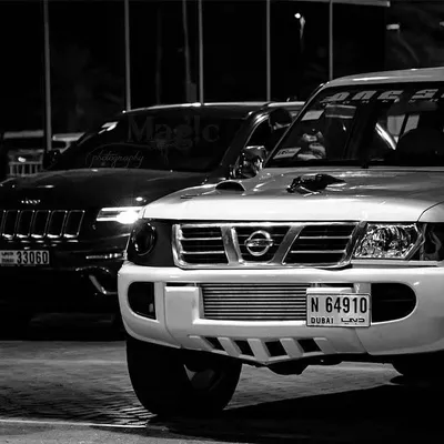 مـايـد🇦🇪 profile