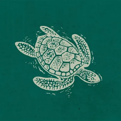Turtle Bay Restaurants profile