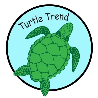 Sea Turtles profile