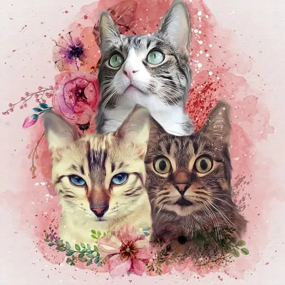 Twinkel,Cashi &Keanu profile