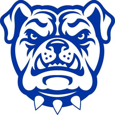 Tennessee Wesleyan Athletics profile