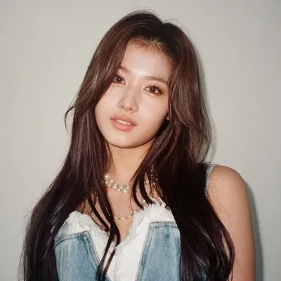 Twice Sana profile