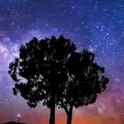 Twilight Symphony profile