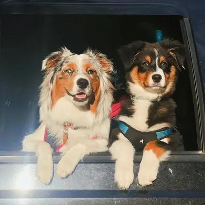 Berkeley and Harper profile