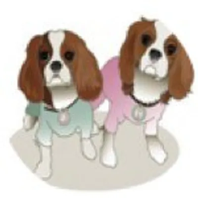 Two Little Cavaliers profile