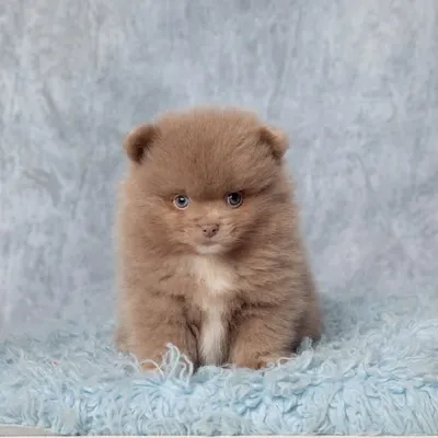 Bear ๐ป๐ค๐พ profile