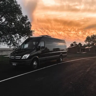 Traveling Hippies profile