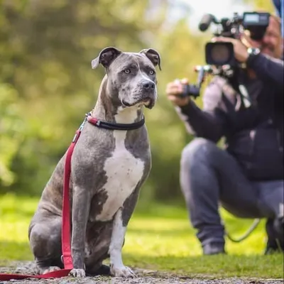 ♛ Jil with Saya & Luna profile