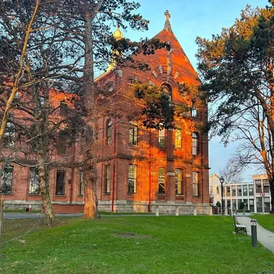 UCD Smurfit School profile