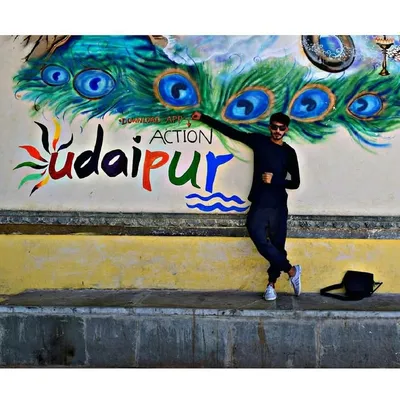 udaipurites profile