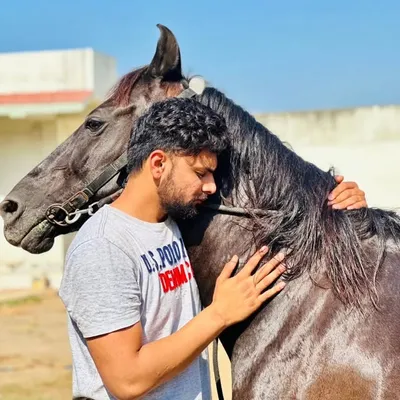 उद्धव मेर profile