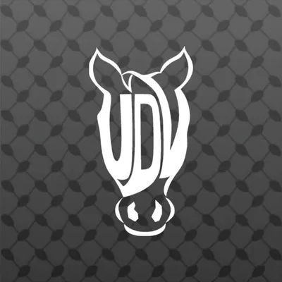 UDV profile
