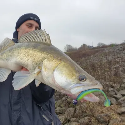 Ugas Jigbaits-stavrosKotanidis profile