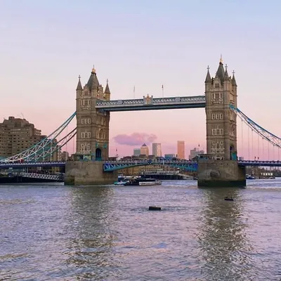 Uk job accommodation 🇬🇧 profile
