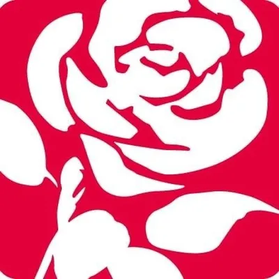 The Labour Party profile