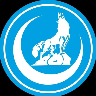 Ülkü Ocakları profile