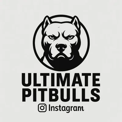 Pitbull Dog Lover profile
