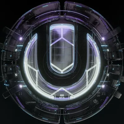 Ultra Music Festival profile