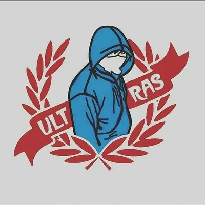 ULTRAS INDONESIA VIDEO profile