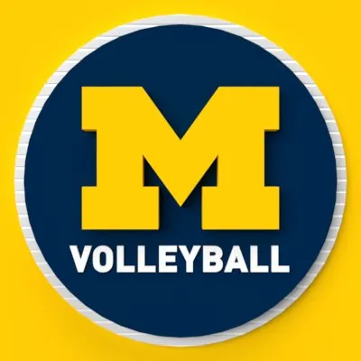 Michigan Volleyball profile