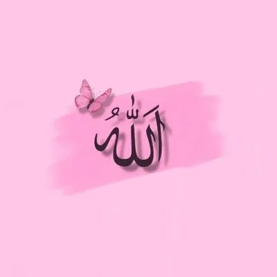 ummat e Mohammad profile