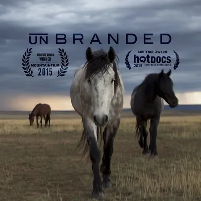 Unbranded profile