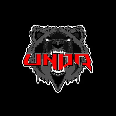UNDR Industries profile