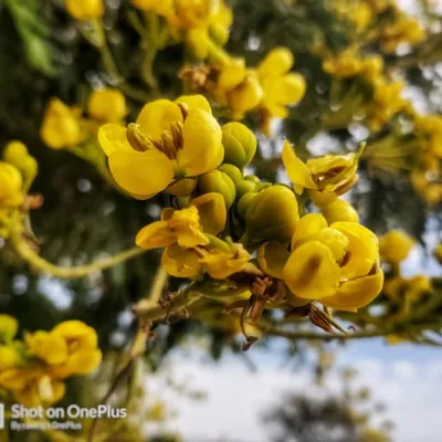 Unfledged Photographer profile